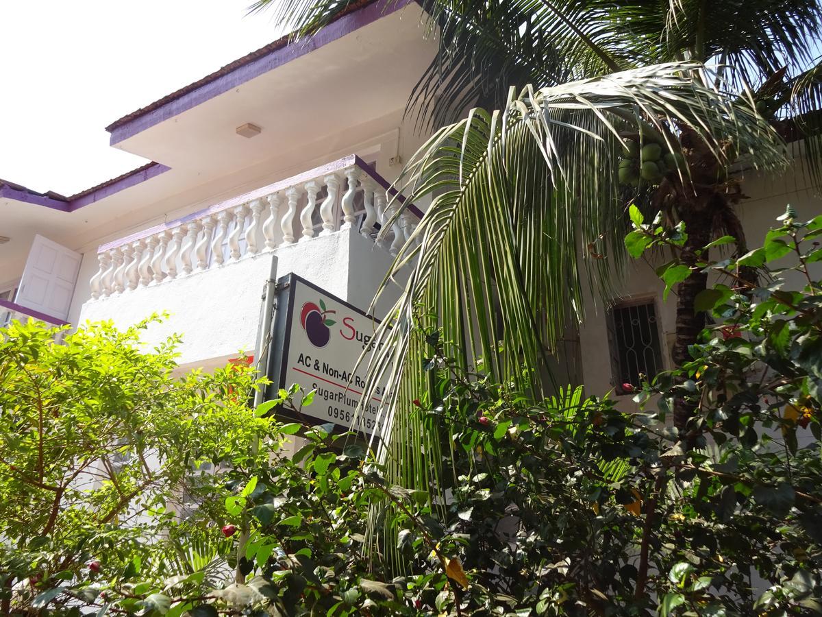 Sugar Plum Macedo Palms Bed & Breakfast Baga Exterior photo
