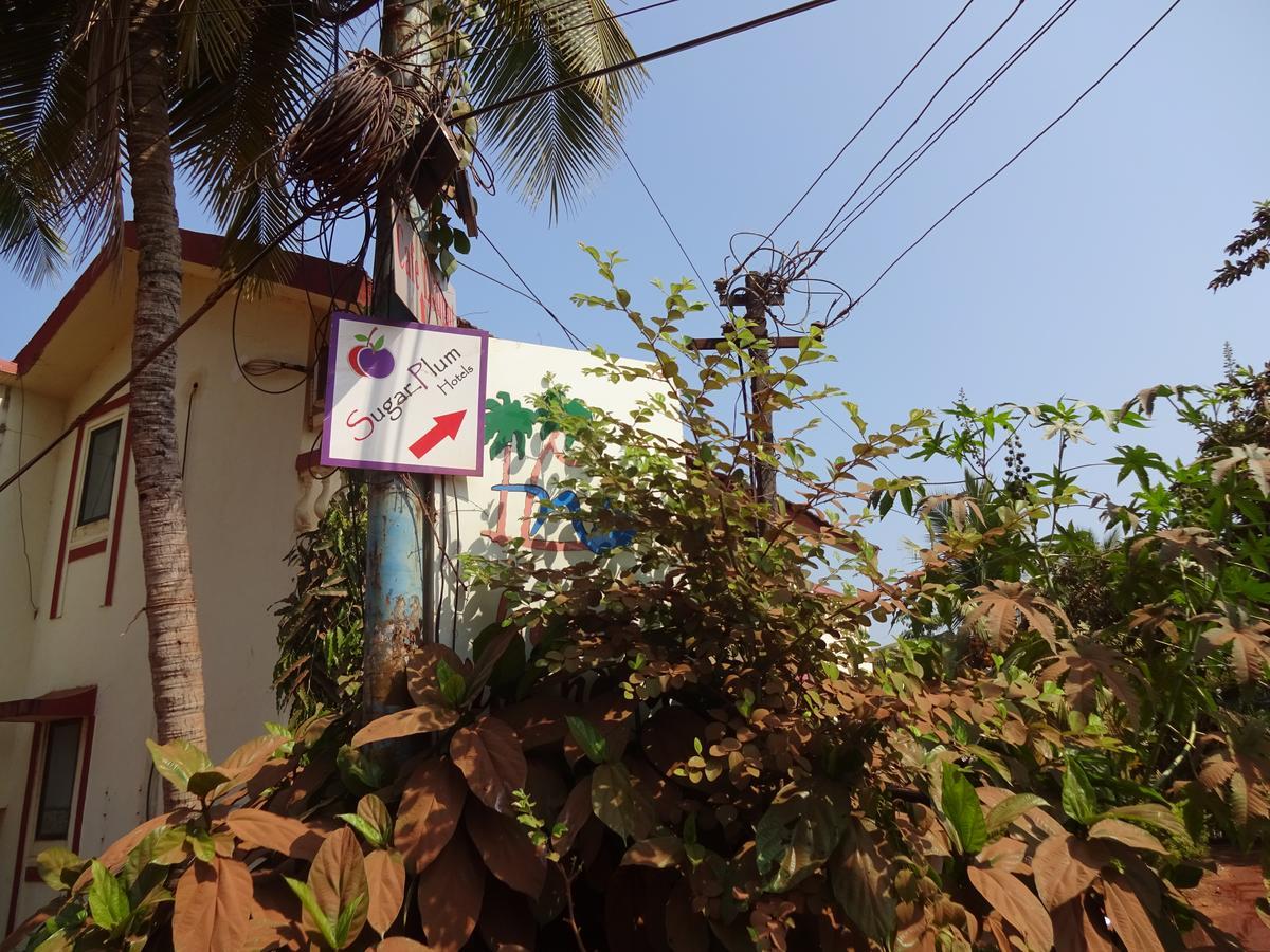 Sugar Plum Macedo Palms Bed & Breakfast Baga Exterior photo
